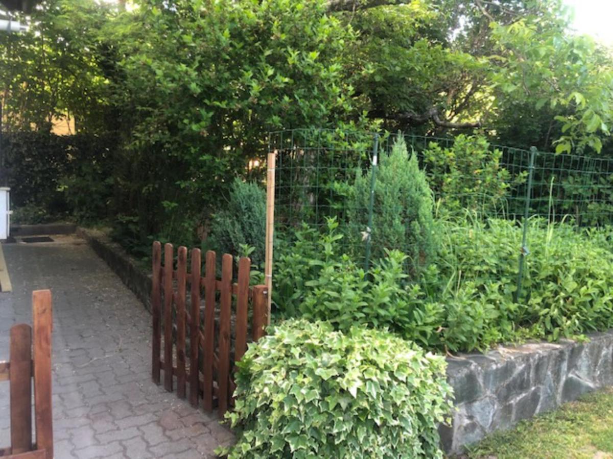 샌탠드레 Tulipan Haz 빌라 외부 사진